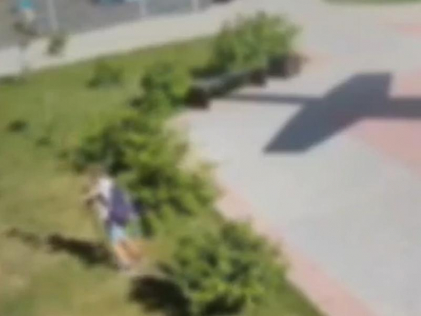 Сломанное деревце вывело из себя жителей Воронежа