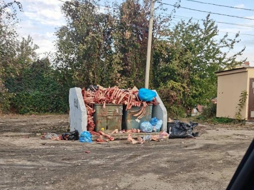Жуткая картина: окровавленные кости выкинули на мусорку в Воронеже 