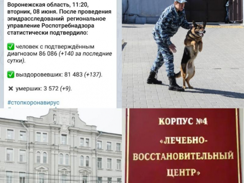Коронавирус в Воронеже 8 июня: 9 смертей, обыски в мэрии и ответ депздрава 