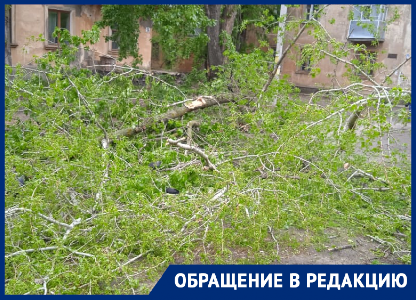 Разрушительные последствия крепкого ветра показали в Воронеже 