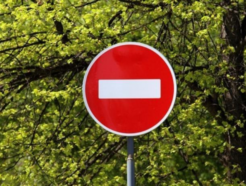 В Воронеже на два дня запретят проезд по улице из-за опасных деревьев