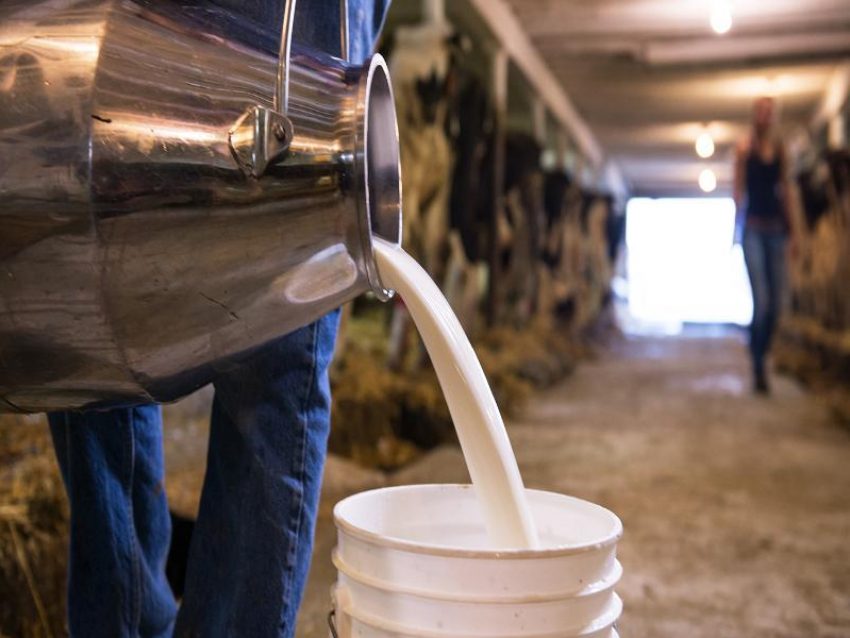  Воронежская молочная компания попала под суд за нарушения 