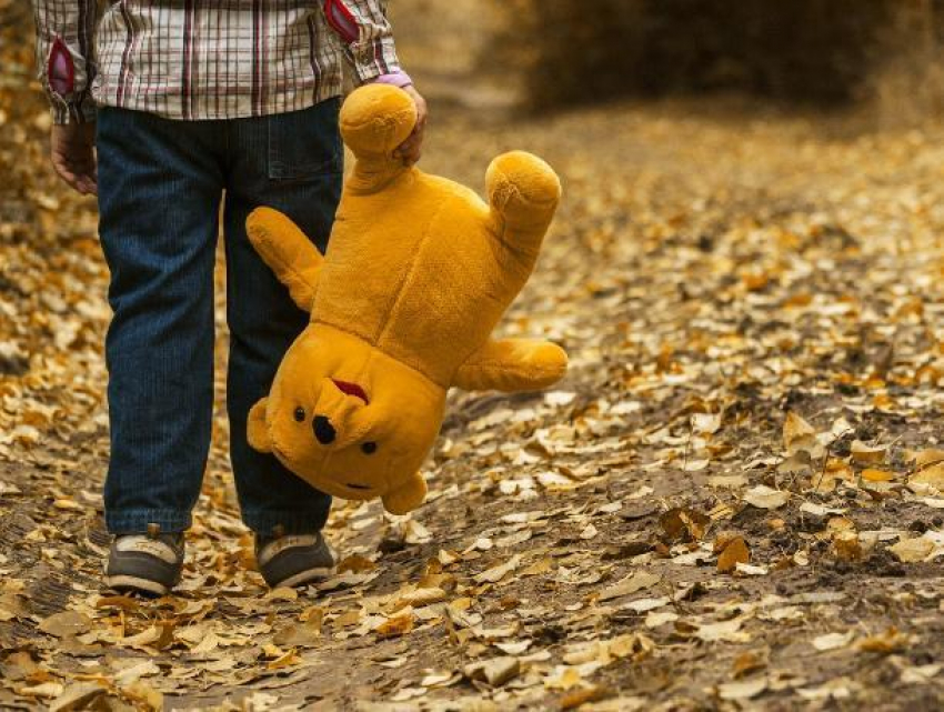 Потерявшийся под Воронежем 4-летний мальчик за день прошел 7 километров