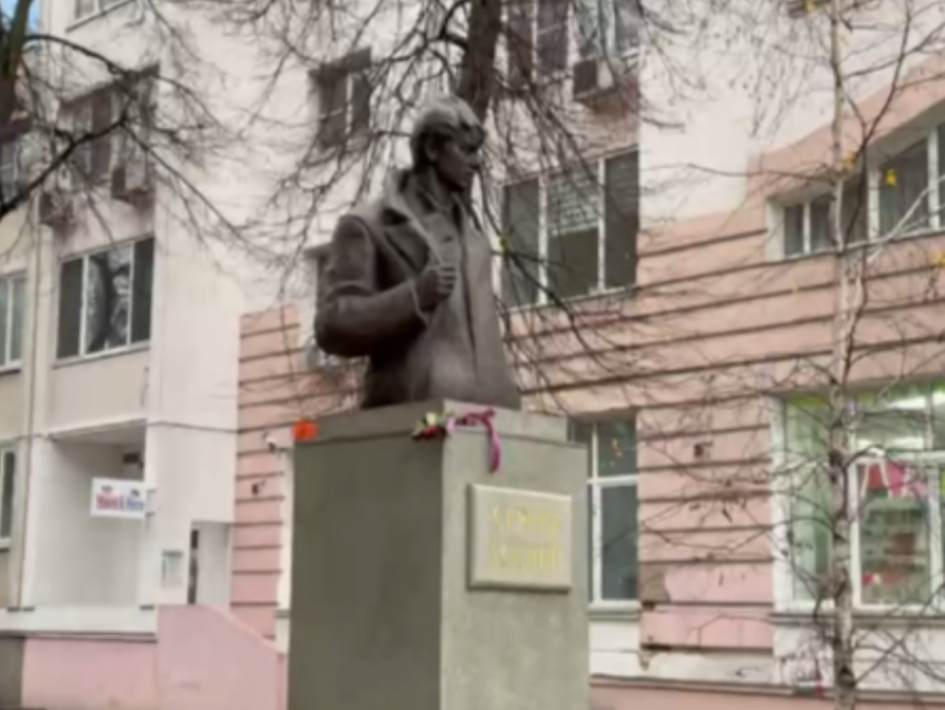 "Осквернителей» памятника Есенина застали на месте преступления в Воронеже