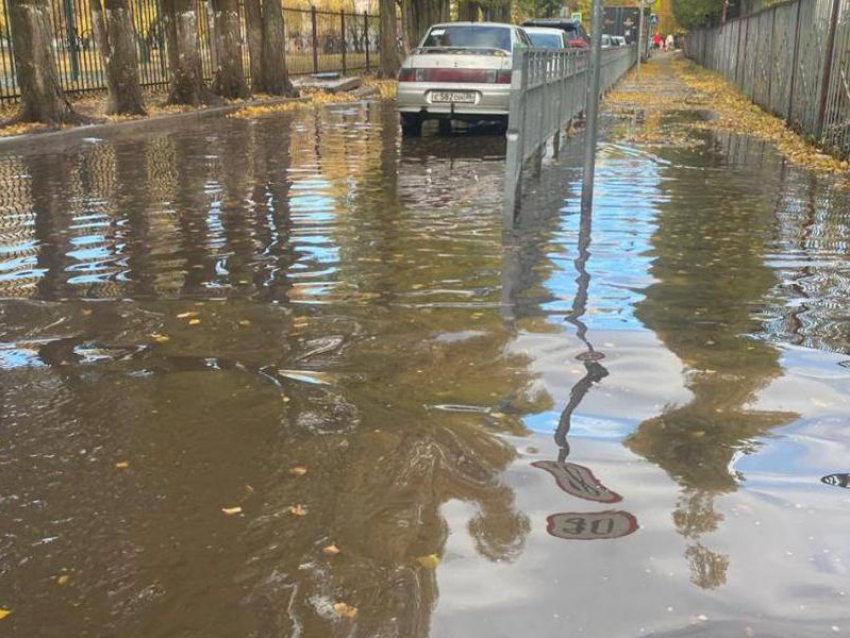 В фекальной суперлуже возле детского садика устали тонуть воронежцы