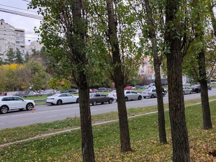 Гусеница из ДТП образовалась на Московском проспекте в Воронеже