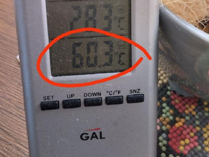 Невероятно адскую температуру показал градусник жительнице Воронежа