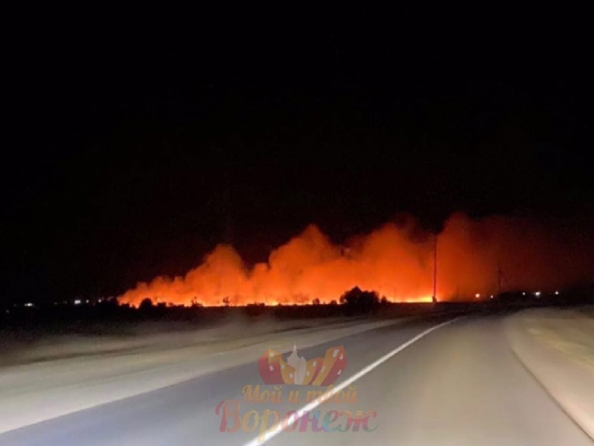 Мощный пожар на окраине воронежского села сняли на фото