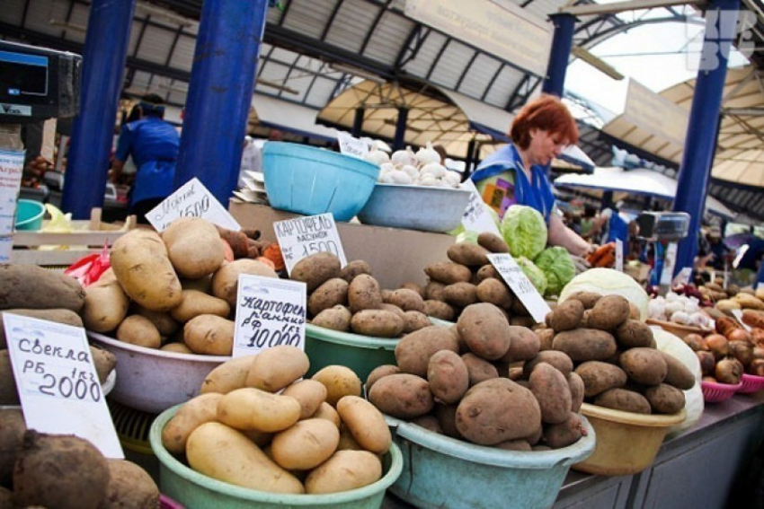 В Воронежскую область с 1 июня не будут ввозить европейский картофель
