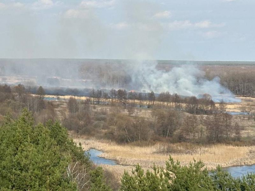 Сезон ландшафтных пожаров огненно «открылся» в Воронежской области