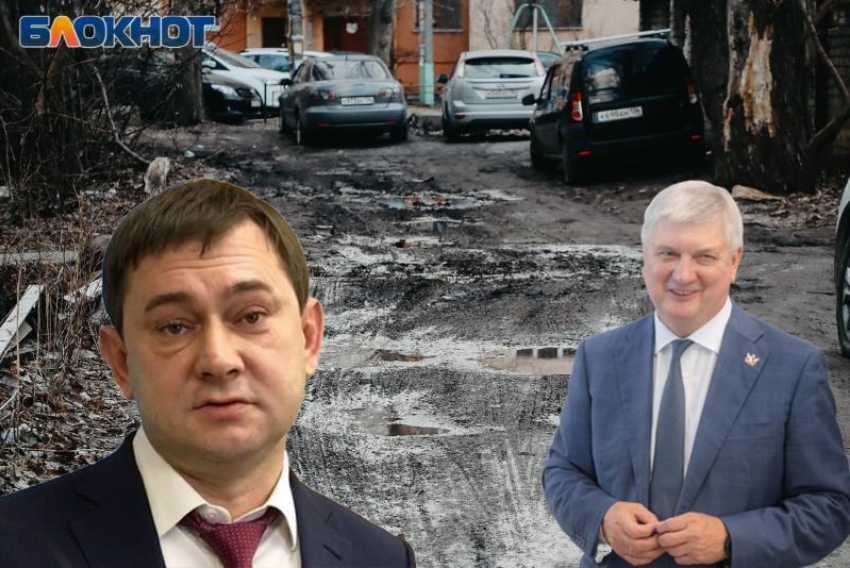 Гусев и Нетесов поздравили с мизерным результатом воронежских дорожников 