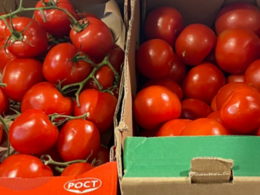 Свои помидоры против магазинных: что в 2026 году ударит по кошельку воронежцев сильнее