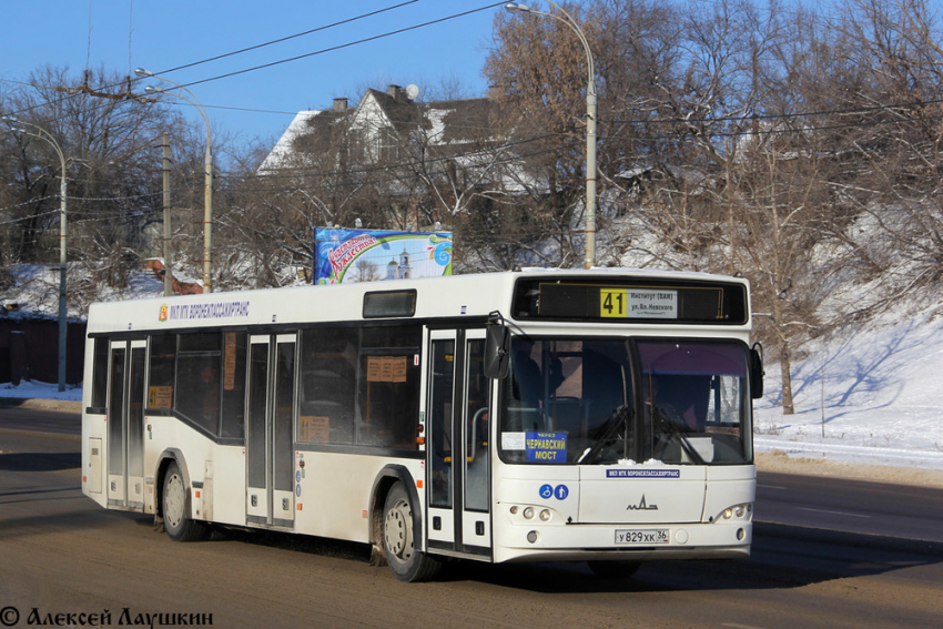 В Воронеже пенсионерка упала под колеса 41-го автобуса