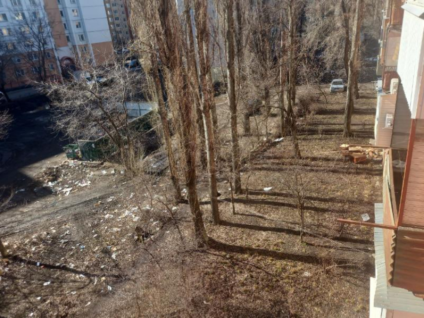 Мерзотные «подснежники» под окнами домов возмутили воронежцев
