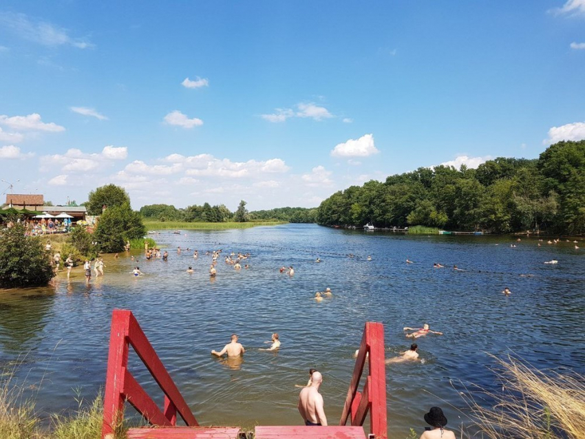 Два пляжа Воронежа опасны для купания