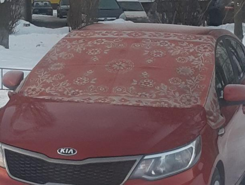 Колхозную автозащиту от мороза сфотографировали в Воронеже