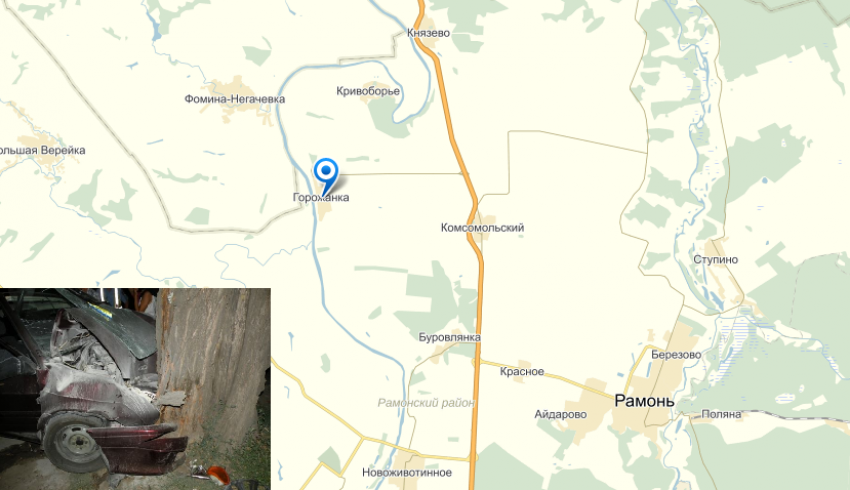 В Воронежской области автомобиль влетел в дерево и загорелся (ФОТО)