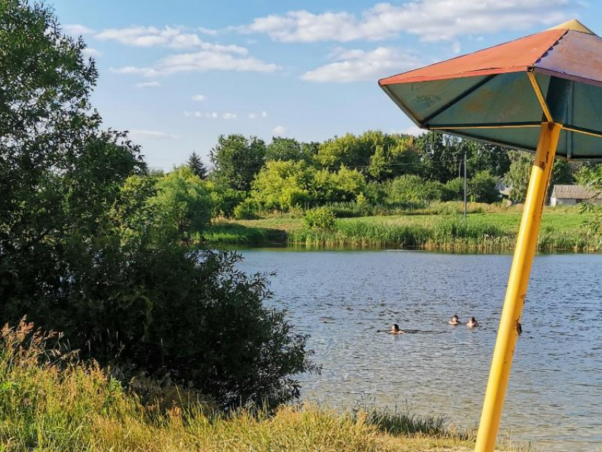 Летняя погода ворвется в Воронеж к концу рабочей недели