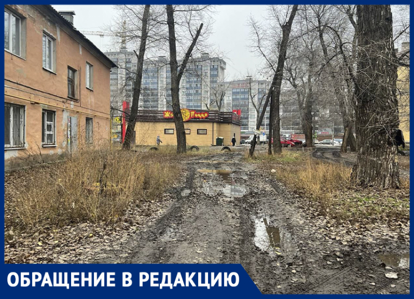 Ироничную благодарность передали Бородиной воронежцы из депрессивного района  