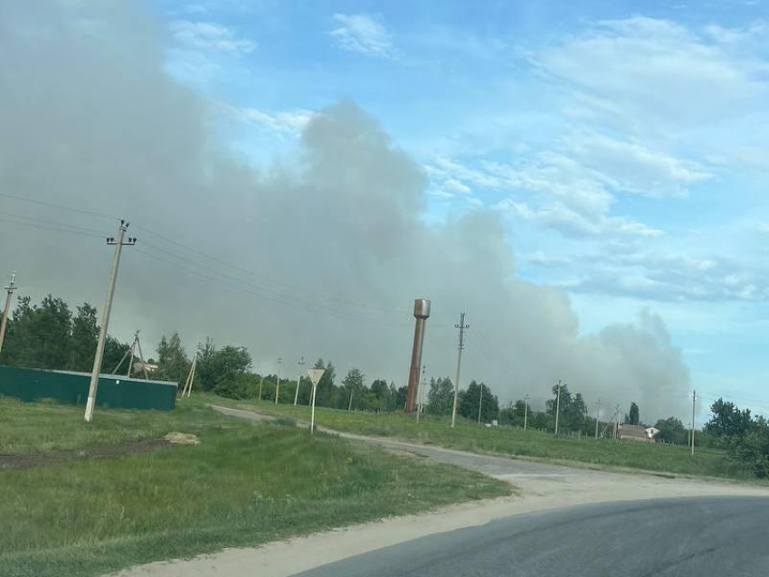 Около 174 млн рублей потребовал с железнодорожников Воронежский заповедник имени Пескова