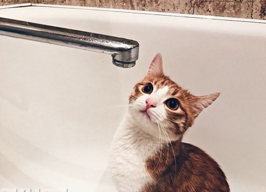 Стало известно об отключении горячей воды 20 апреля почти во всех районах Воронежа