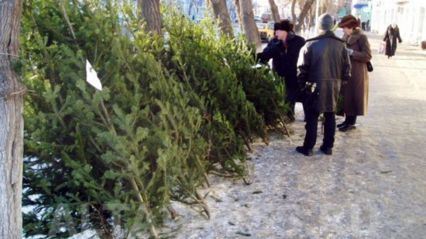 Продавец новогодних елок попался на взятке и свернул свою работу