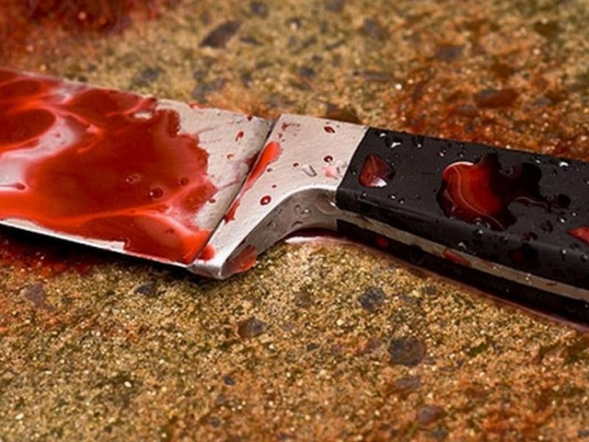 Обиженный воронежец ответит за кровавую расправу над соседкой