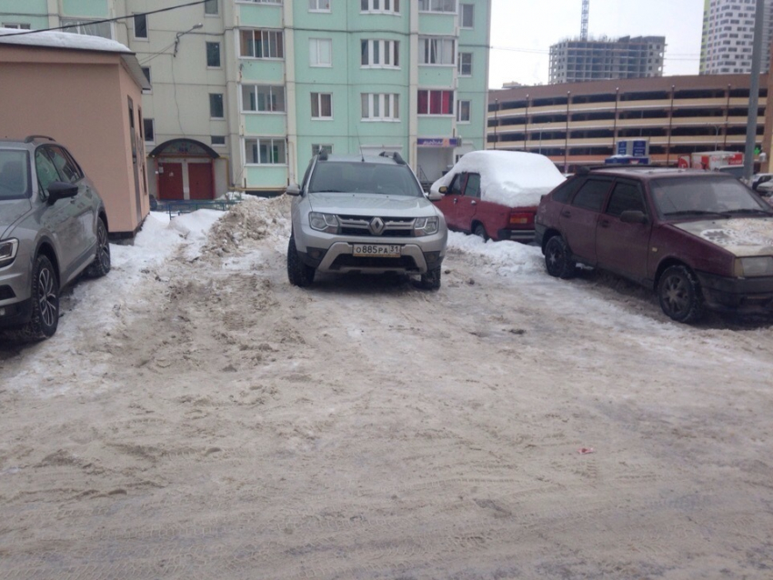 Царская парковка белгородца возмутила жителей Воронежа