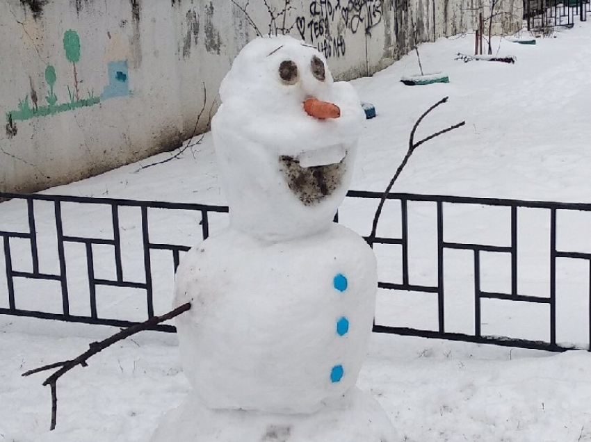 Самого известного снеговика мультфильмов слепила воронежская семья