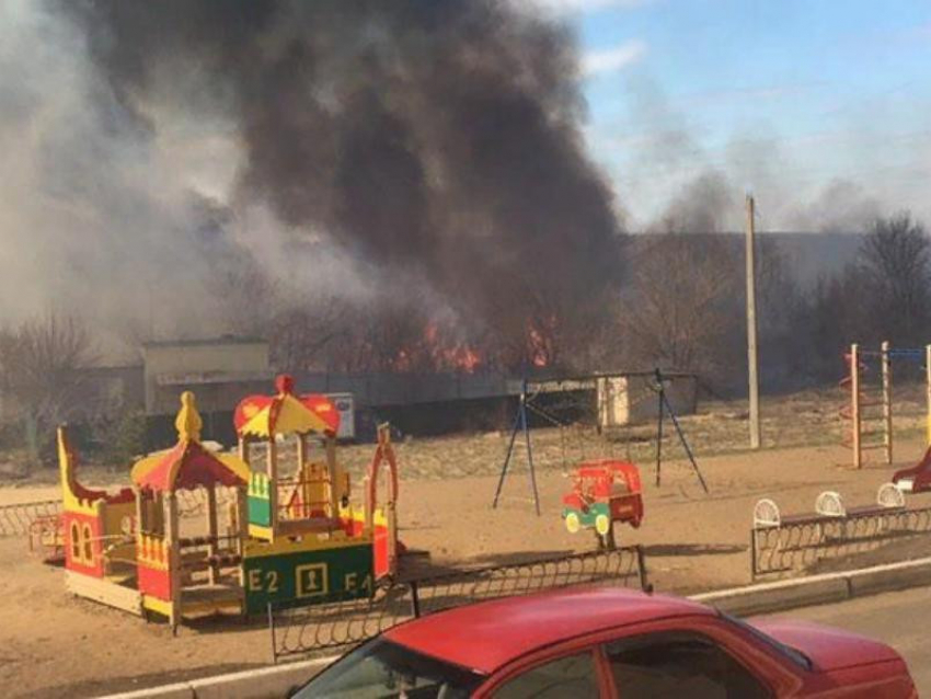 2,5 тыс пожаров произошло в Воронежской области с начала весны 