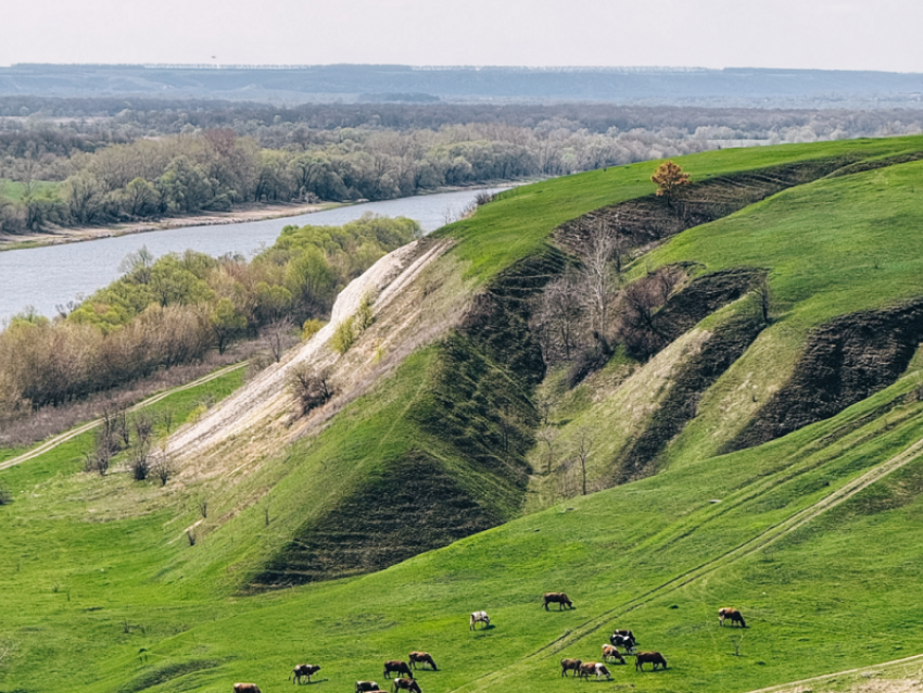 Нововоронежские школьники прославились на международном уровне 