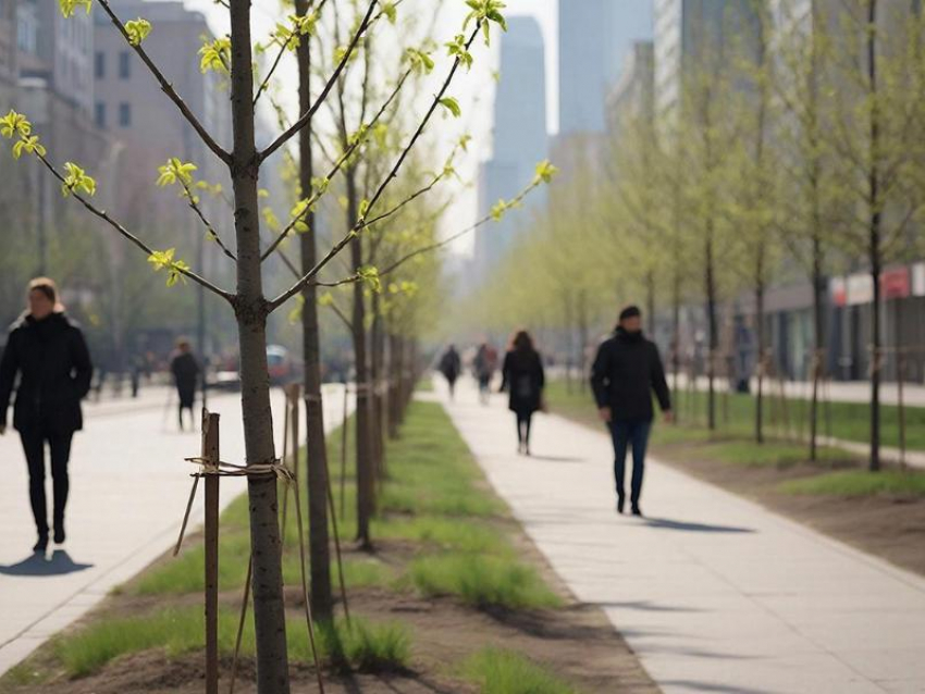 Мэрия Воронежа готовится к новой кампании озеленения города 