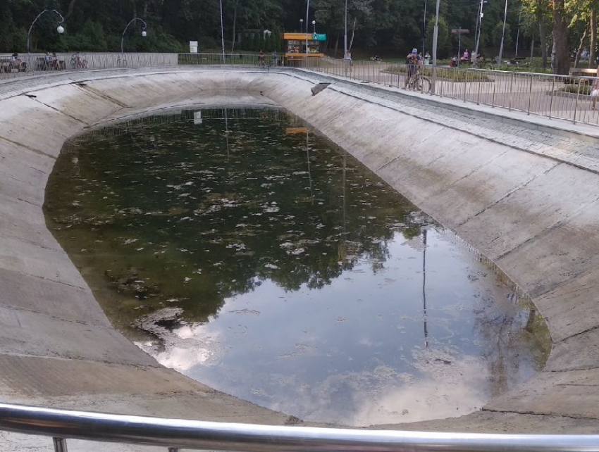Цветение пруда в Центральном парке после очистки прокомментировала мэрия в Воронеже