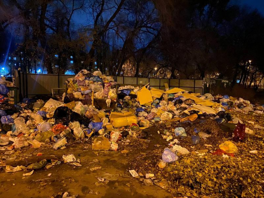 «Хочу выразить благодарность УК»: гигантскую стихийную свалку показали на видео в Воронеже