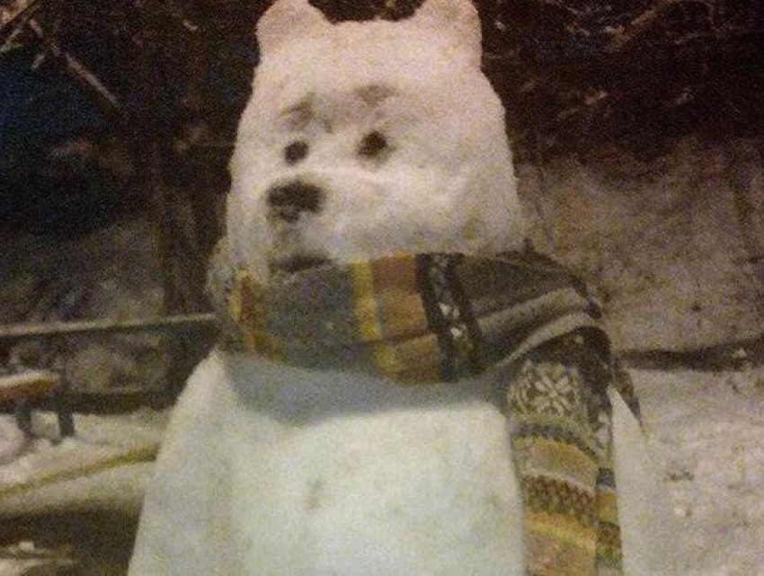 Самого милого снеговика сфотографировали в Воронеже