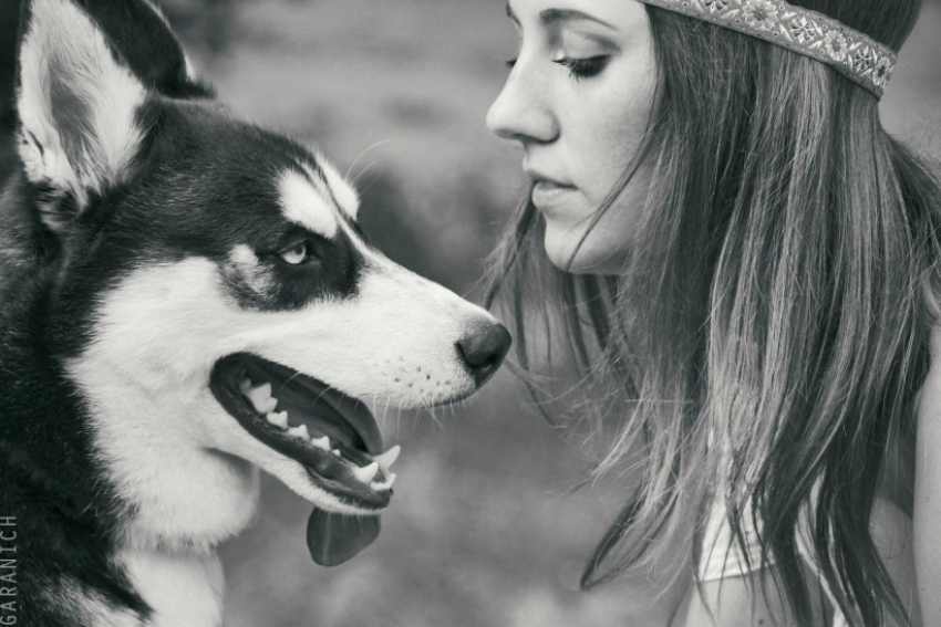 Третий участник конкурса Я и мой любимец Светлана Тулинова и ее хаски Хлоя (ФОТО-ИСТОРИЯ)