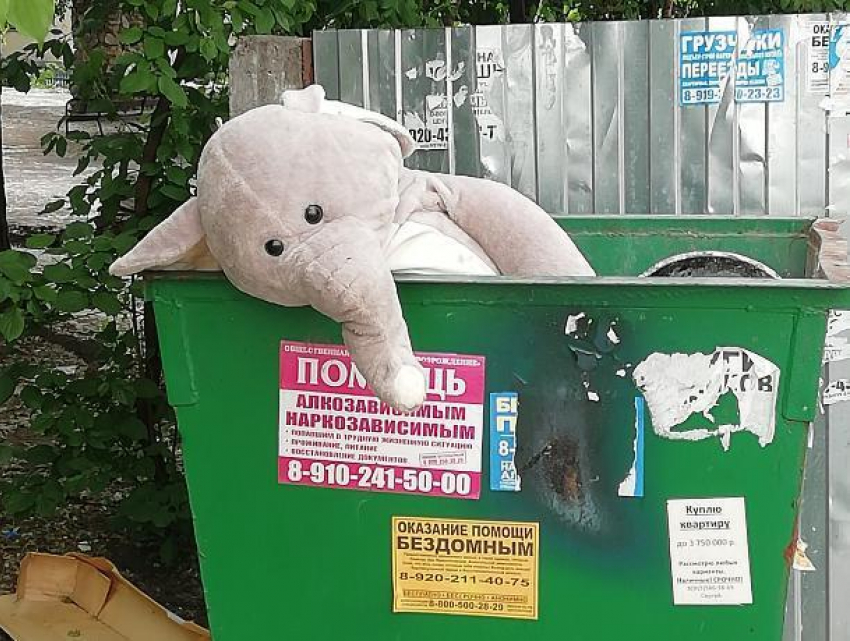 Уставшего от безудержного кутежа слоника нашли в Воронеже