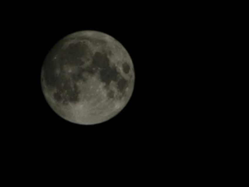 Неблагоприятное время для любых начинаний в ноябре назвала воронежский астролог