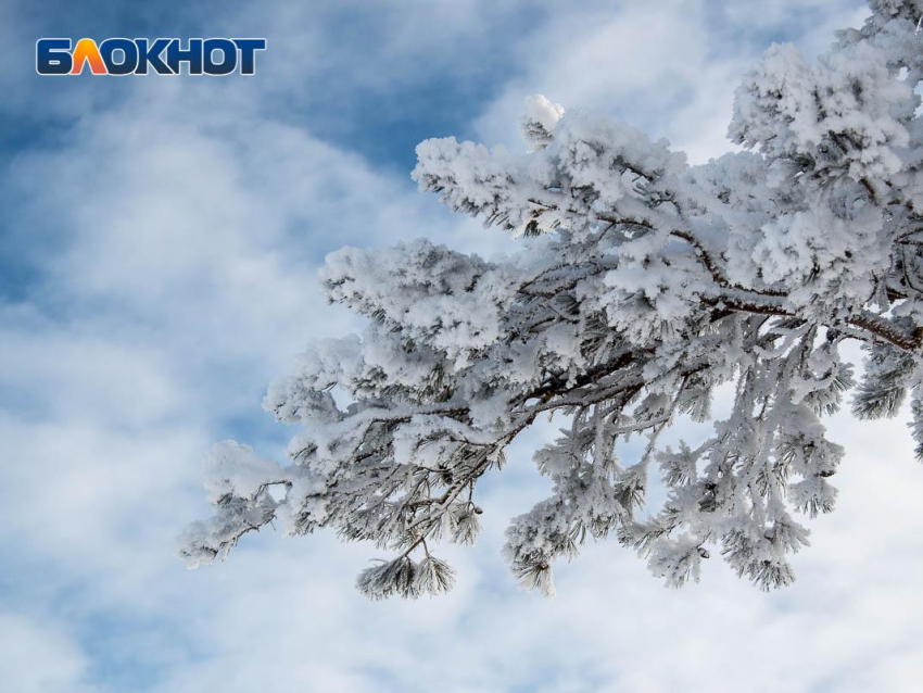 Воронеж оказался одним из самых теплых городов для крещенских морозов