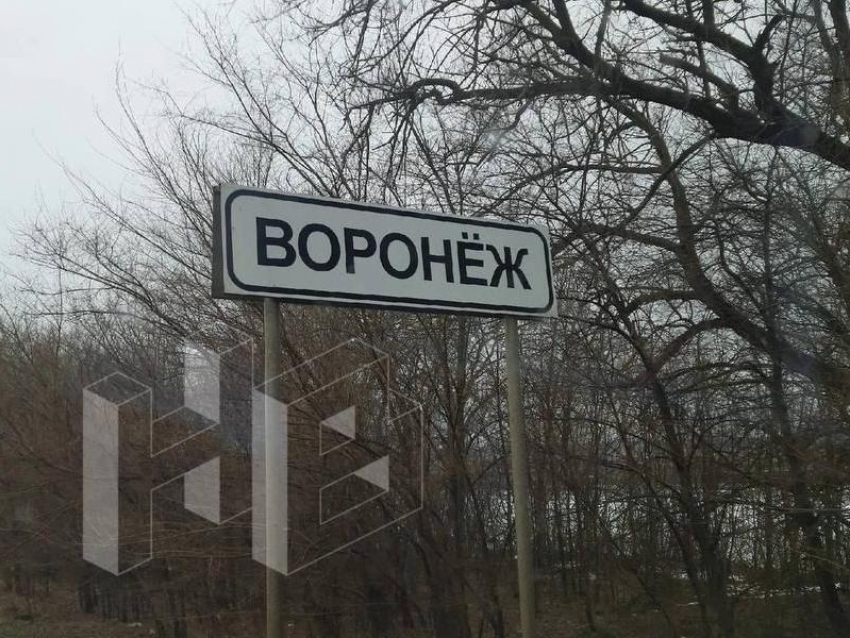 Странное переименование Воронежа заметили автомобилисты