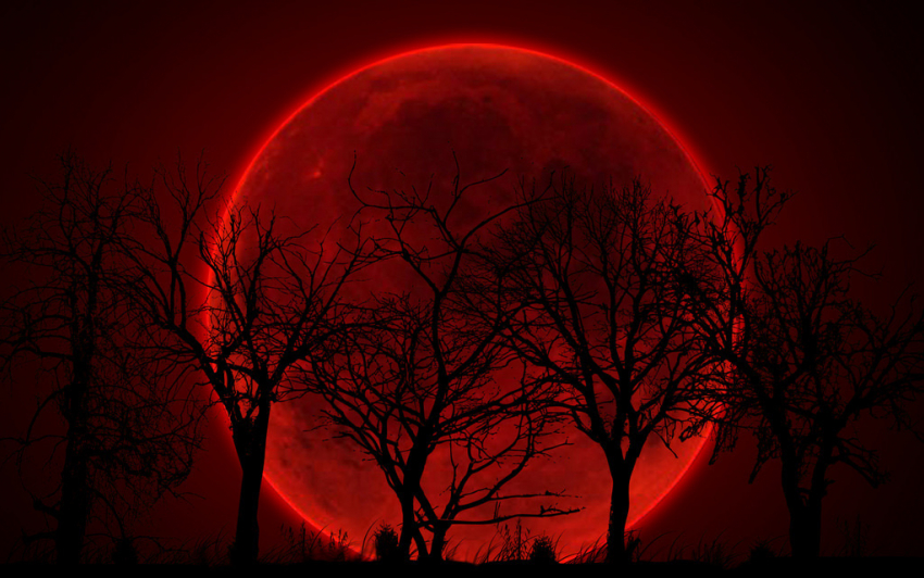 Стало известно, во сколько воронежцы увидят «кровавую» Луну