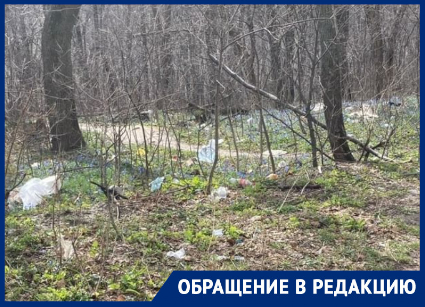 Березовая роща в Воронеже по весне зацвела мусорными пакетами 