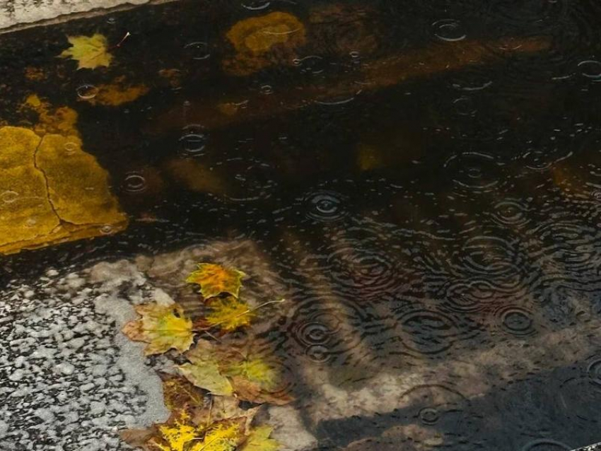  Антициклон принесет туманную погоду в Воронежскую область