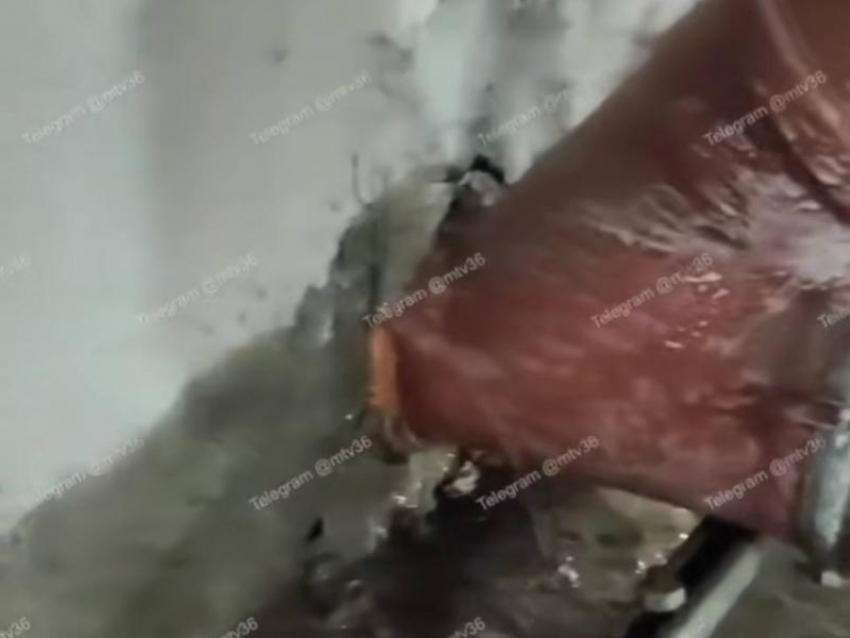 Дом тонет с момента сдачи: воронежцы пожаловались на бездействие УК