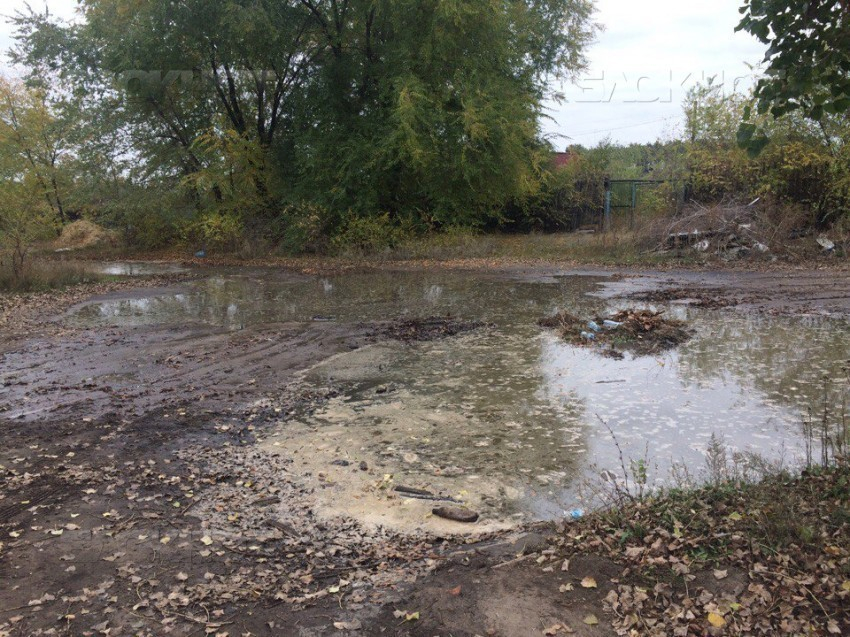 Гендиректор ООО «ЛОС»: «Воды повышенной токсичности  «ЭкоЛайнера» могут нанести непоправимый ущерб Воронежскому водохранилищу»