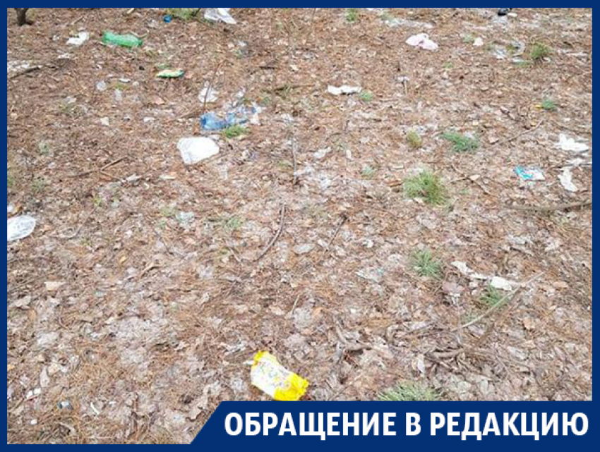 Северный лес в Воронеже превратили в свалку