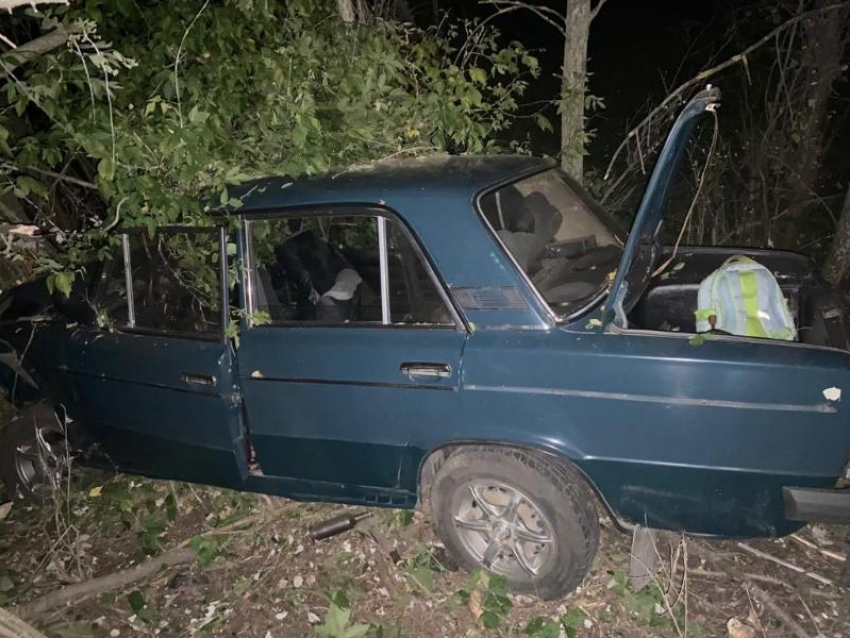 Воронежец разбил машину о деревья – травмирован он сам и двое пассажиров