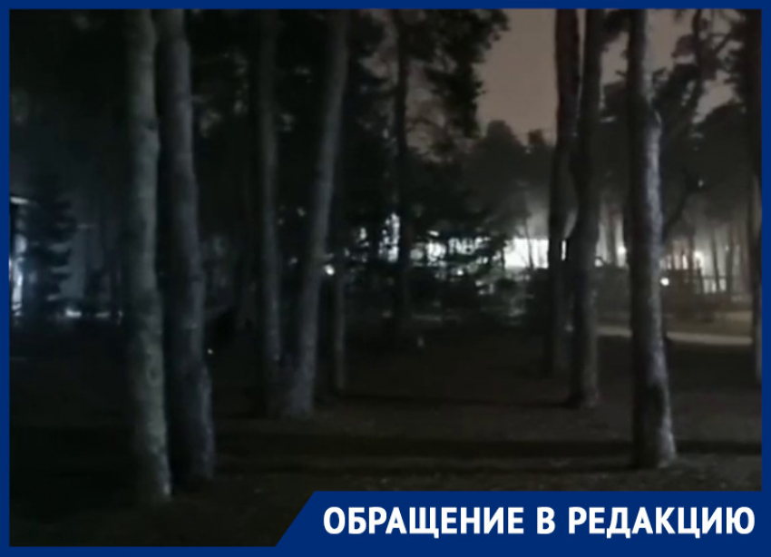 «Алые паруса» в кромешной тьме возмутили жительницу Воронежа 