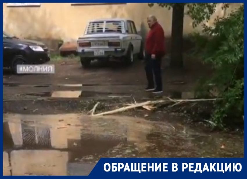 В Воронеже сообщили о попадании молнии в дерево