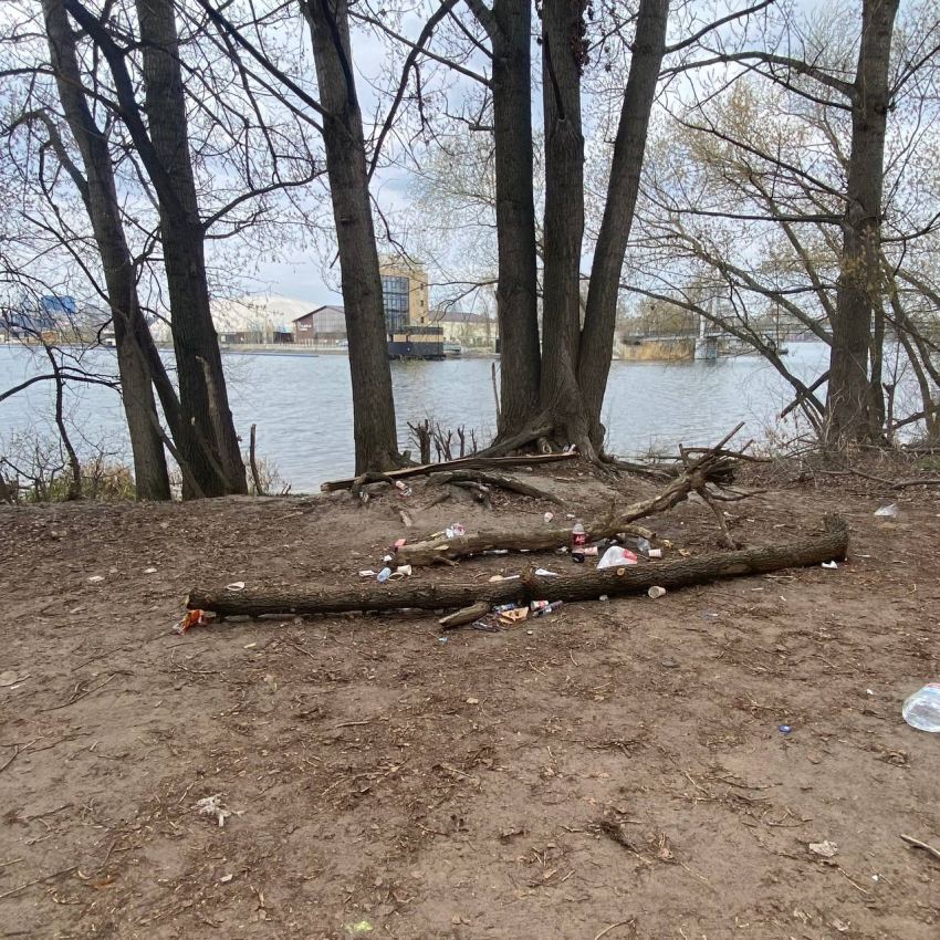 Мусорное безобразие в живописном местечке заметили в Воронеже
